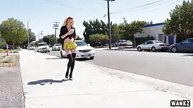 Дві красуні попки з  ...