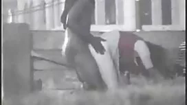 Кукурудза грає на по ...