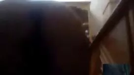 # sex sestra video П ...